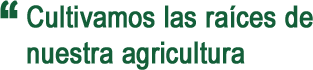 Cultivamos las raíces de nuestra agricultura